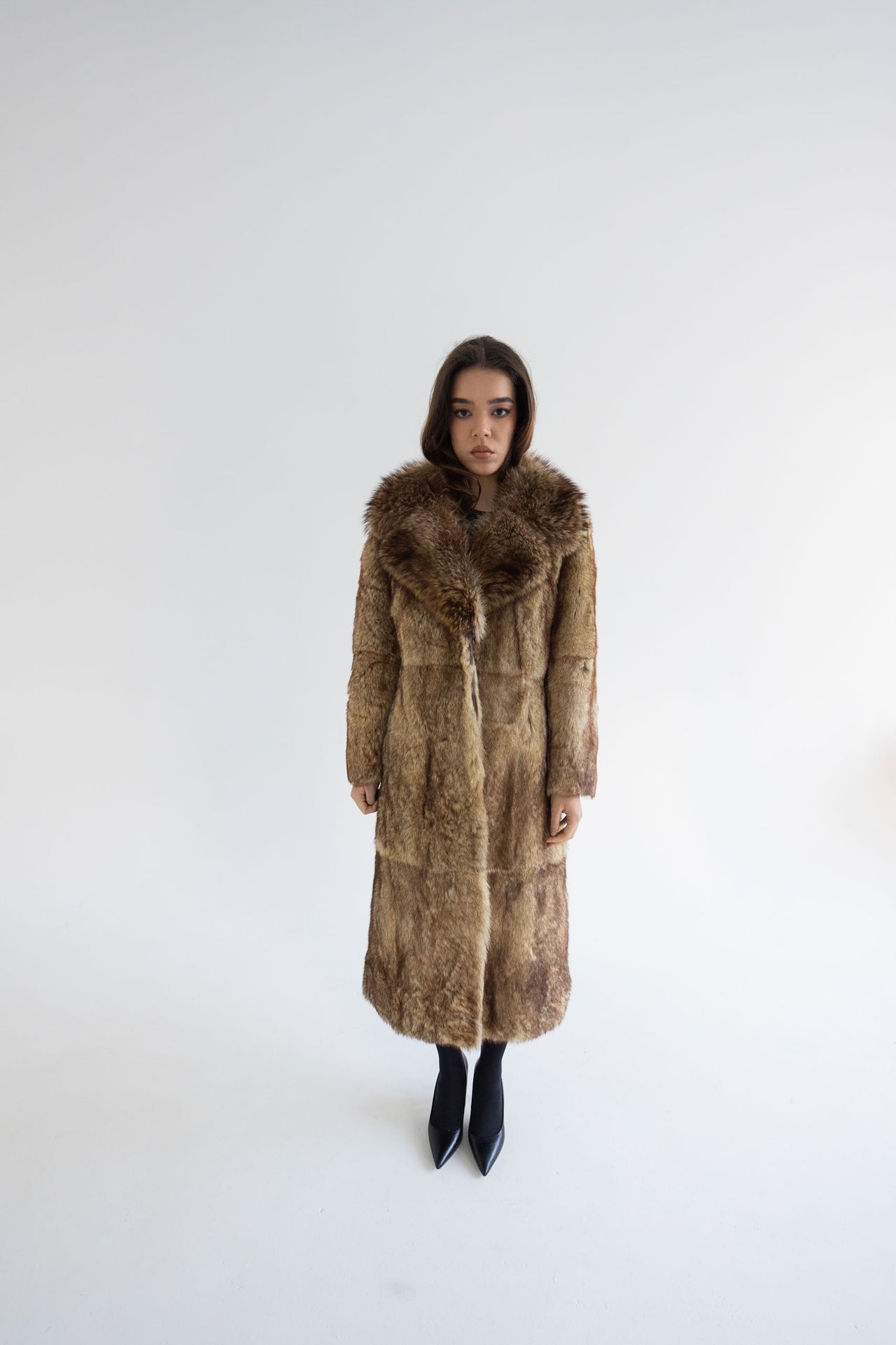 003 GOLD JACKAL & OPOSSUM