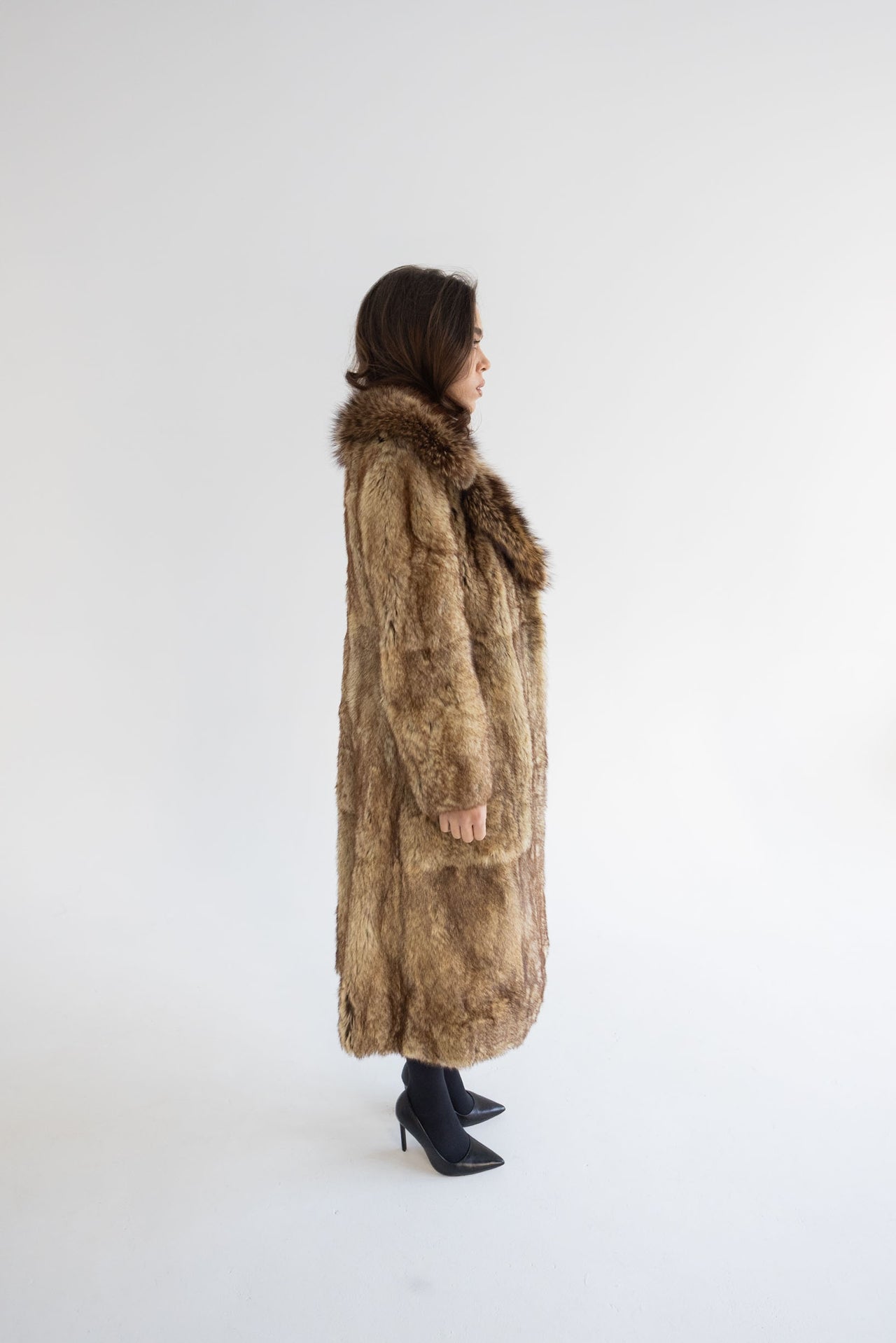 003 GOLD JACKAL & OPOSSUM